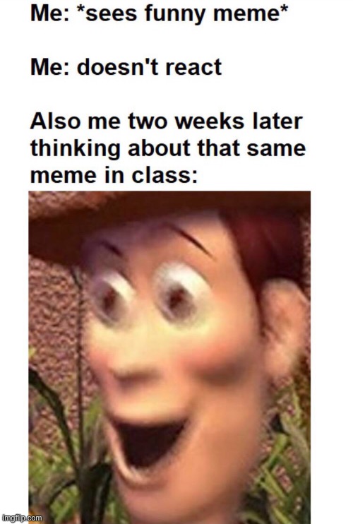 DEJA VU | image tagged in woody,funny,memes,woody memes,toy story | made w/ Imgflip meme maker