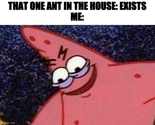 die ant | THAT ONE ANT IN THE HOUSE: EXISTS
ME: | image tagged in evil patrick | made w/ Imgflip meme maker