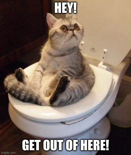 queen of the bathroom | HEY! GET OUT OF HERE! | image tagged in bathroom | made w/ Imgflip meme maker
