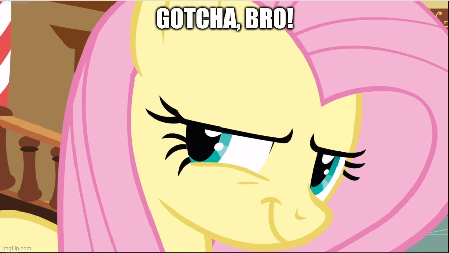 Evil Fluttershy (MLP) | GOTCHA, BRO! | image tagged in evil fluttershy mlp | made w/ Imgflip meme maker