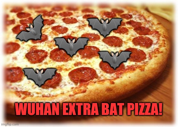 Best new pizza! | 🦇; 🦇; 🦇; 🦇; 🦇; WUHAN EXTRA BAT PIZZA! | image tagged in coming out pizza,wuhan,bat,pizza,eat it | made w/ Imgflip meme maker