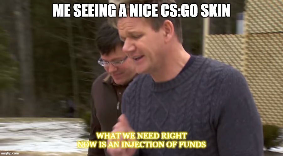 How I became homeless | ME SEEING A NICE CS:GO SKIN; WHAT WE NEED RIGHT NOW IS AN INJECTION OF FUNDS | image tagged in gordon ramsay,csgo | made w/ Imgflip meme maker