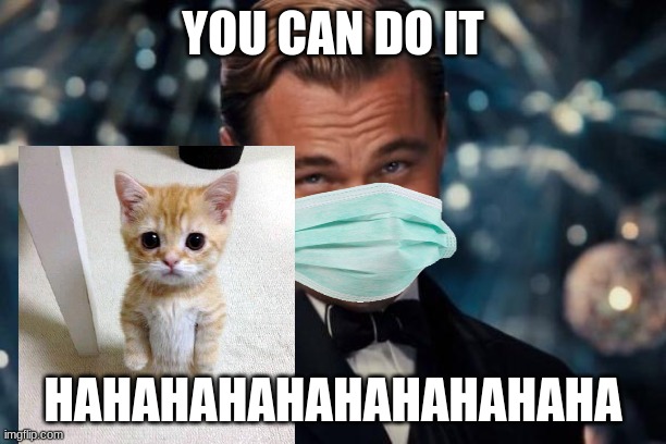 Leonardo Dicaprio Cheers Meme | YOU CAN DO IT; HAHAHAHAHAHAHAHAHAHA | image tagged in memes,leonardo dicaprio cheers | made w/ Imgflip meme maker