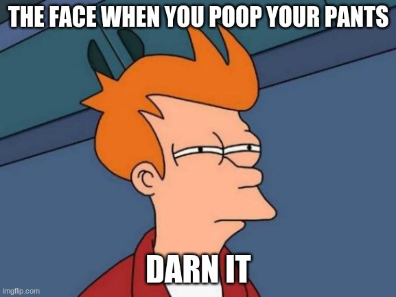 Futurama Fry Meme | THE FACE WHEN YOU POOP YOUR PANTS; DARN IT | image tagged in memes,futurama fry | made w/ Imgflip meme maker