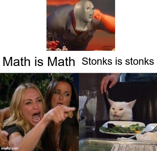 What | Math is Math; Stonks is stonks | image tagged in memes,woman yelling at cat | made w/ Imgflip meme maker