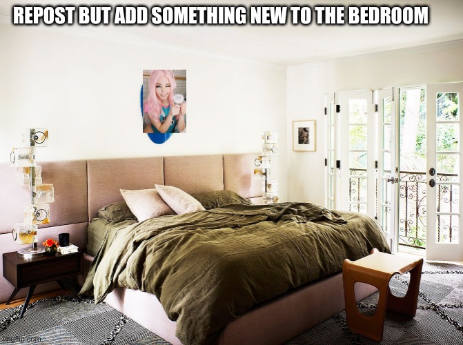b e l l e d e l p h i n e | REPOST BUT ADD SOMETHING NEW TO THE BEDROOM | made w/ Imgflip meme maker
