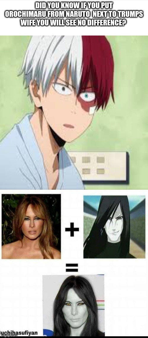 Trump Anime  Meme | DID YOU KNOW IF YOU PUT OROCHIMARU FROM NARUTO  NEXT TO TRUMPS WIFE YOU WILL SEE NO DIFFERENCE? | image tagged in anime,todoroki,naruto joke,donald trump | made w/ Imgflip meme maker