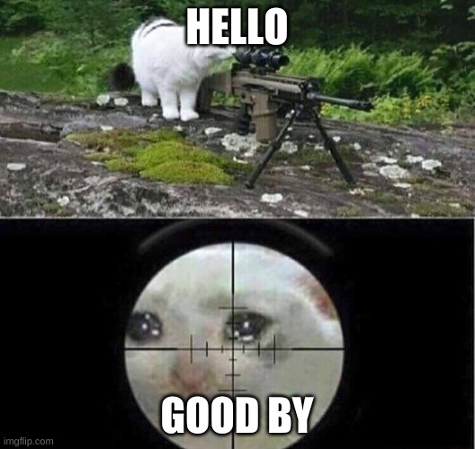 Sniper cat | HELLO; GOOD BY | image tagged in sniper cat | made w/ Imgflip meme maker