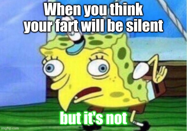 Mocking Spongebob | When you think your fart will be silent; but it's not | image tagged in memes,mocking spongebob | made w/ Imgflip meme maker