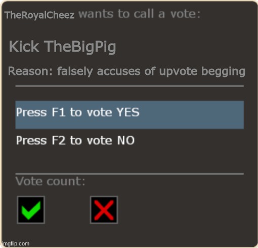 Do you vote yes or no? | TheRoyalCheez; Kick TheBigPig; Reason: falsely accuses of upvote begging | image tagged in tf2 vote template | made w/ Imgflip meme maker