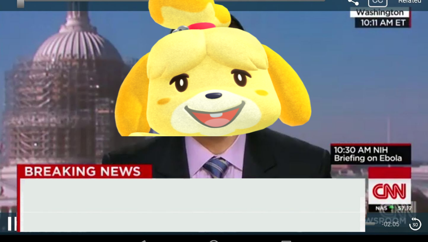 High Quality isabelle news Blank Meme Template