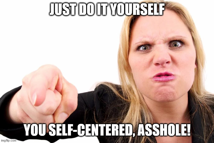 Offended woman | JUST DO IT YOURSELF YOU SELF-CENTERED, ASSHOLE! | image tagged in offended woman | made w/ Imgflip meme maker