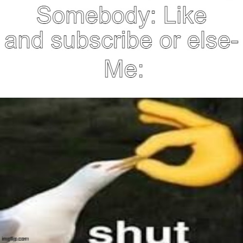 Shut | Somebody: Like and subscribe or else-; Me: | image tagged in shut,memes | made w/ Imgflip meme maker