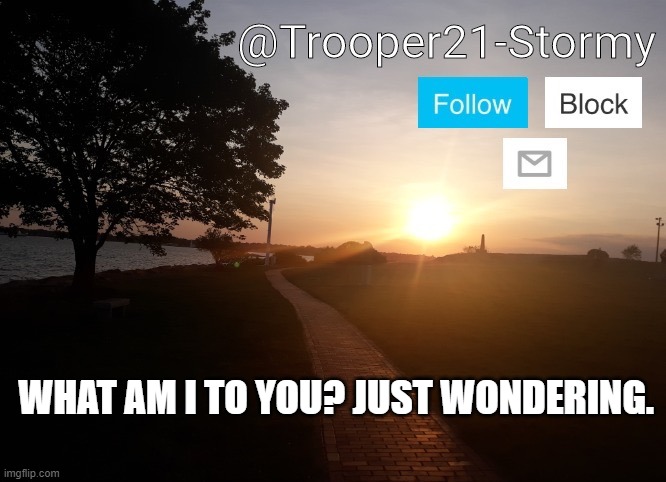 Trooper21-Stormy | WHAT AM I TO YOU? JUST WONDERING. | image tagged in trooper21-stormy | made w/ Imgflip meme maker