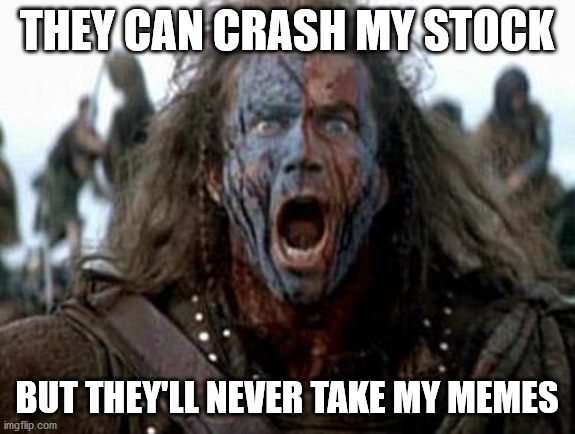 Braveheart  | THEY CAN CRASH MY STOCK; BUT THEY'LL NEVER TAKE MY MEMES | image tagged in braveheart | made w/ Imgflip meme maker