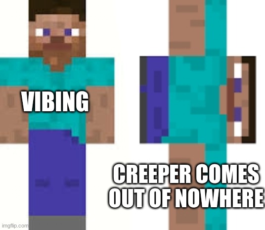 Normal Steve and Sideways Steve | VIBING; CREEPER COMES OUT OF NOWHERE | image tagged in normal steve and sideways steve | made w/ Imgflip meme maker