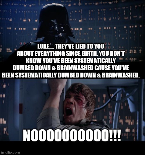 Star Wars No Meme | LUKE.... THEY'VE LIED TO YOU ABOUT EVERYTHING SINCE BIRTH. YOU DON'T KNOW YOU'VE BEEN SYSTEMATICALLY DUMBED DOWN & BRAINWASHED CAUSE YOU'VE BEEN SYSTEMATICALLY DUMBED DOWN & BRAINWASHED. NOOOOOOOOOO!!! | image tagged in memes,star wars no,brainwashed,dumb and dumber,funny,you can't handle the truth | made w/ Imgflip meme maker