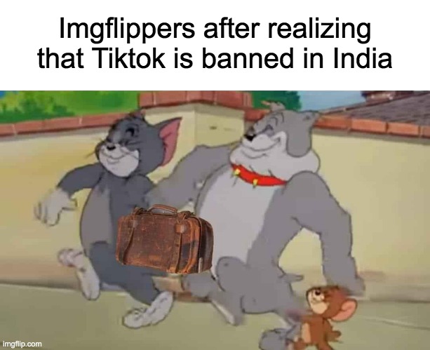Bye have a great time... | Imgflippers after realizing that Tiktok is banned in India | image tagged in imgflippers,tiktok,lol,india,moving,memes | made w/ Imgflip meme maker