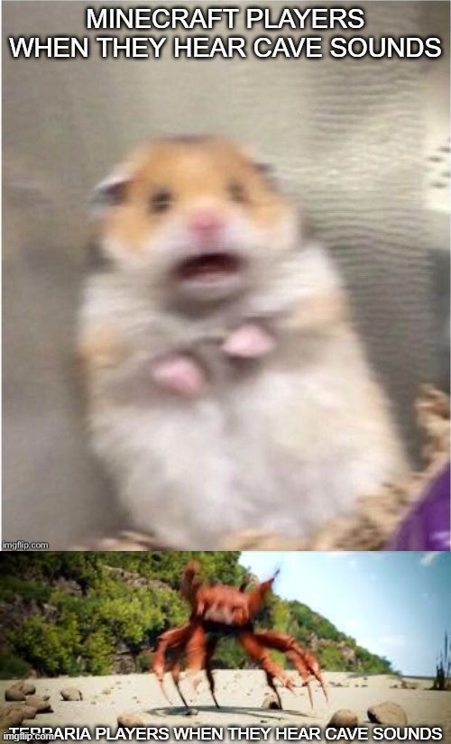 MINECRAFT PLAYERS WHEN THEY HEAR CAVE SOUNDS; TERRARIA PLAYERS WHEN THEY HEAR CAVE SOUNDS | image tagged in scared hamster,crab rave | made w/ Imgflip meme maker