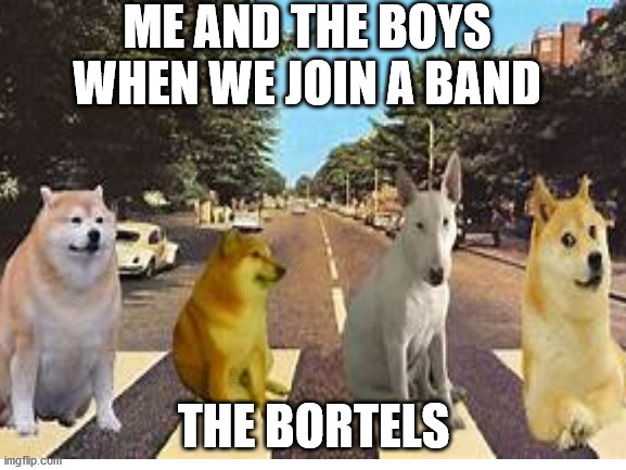 BORTELS | ME AND THE BOYS WHEN WE JOIN A BAND; THE BORTELS | image tagged in cheems,beatles | made w/ Imgflip meme maker