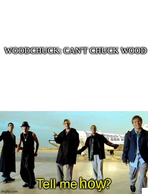 WOODCHUCK: CAN'T CHUCK WOOD; how | image tagged in blank white template,funny,backstreet boys | made w/ Imgflip meme maker