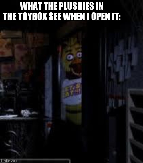 Lol | WHAT THE PLUSHIES IN THE TOYBOX SEE WHEN I OPEN IT: | image tagged in chica looking in window fnaf | made w/ Imgflip meme maker