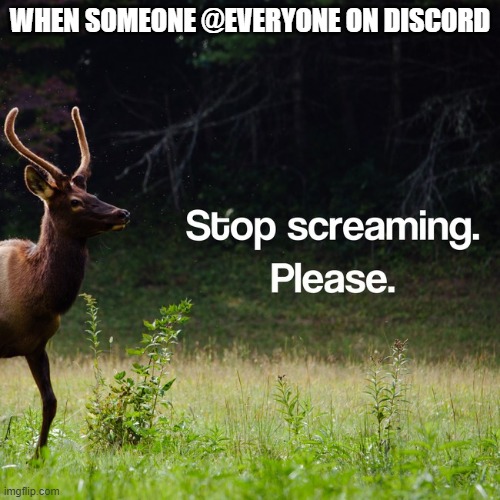 stop screaming please | WHEN SOMEONE @EVERYONE ON DISCORD | image tagged in memes,discord | made w/ Imgflip meme maker