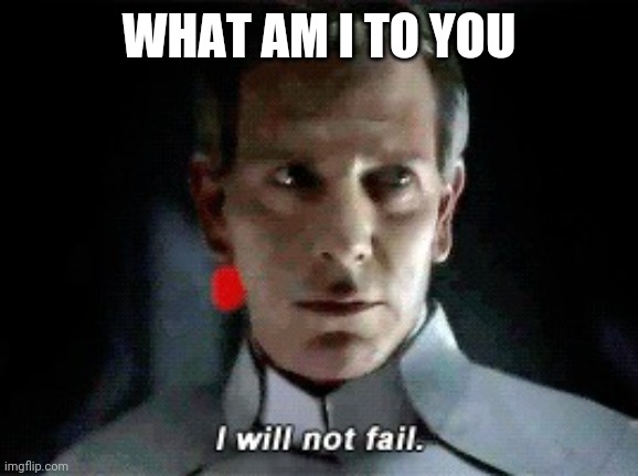 I will not fail | WHAT AM I TO YOU | image tagged in i will not fail | made w/ Imgflip meme maker