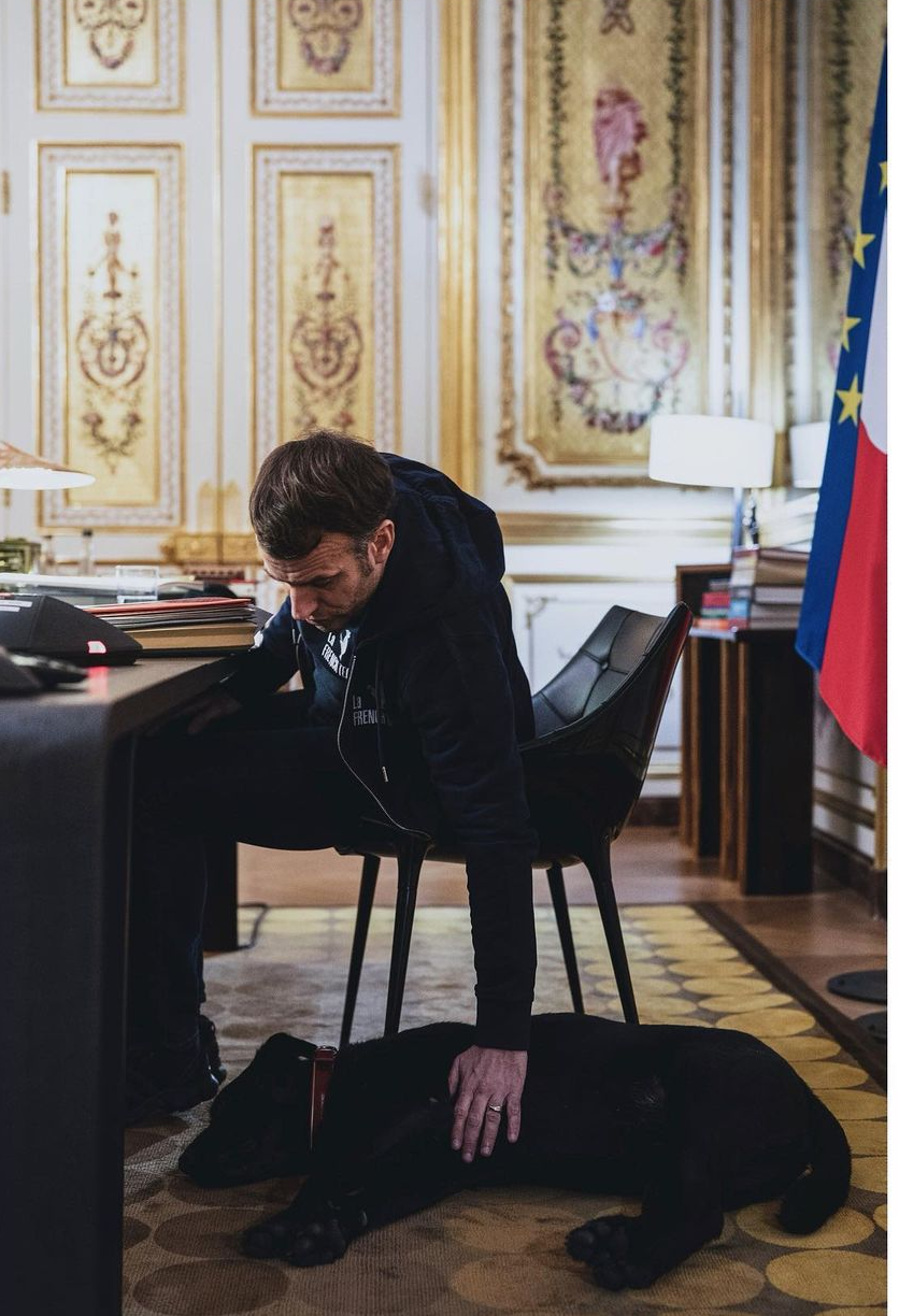 Macron with dog Blank Meme Template