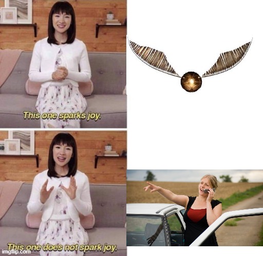 the not-so-golden snitch | image tagged in this one sparks joy,memes | made w/ Imgflip meme maker