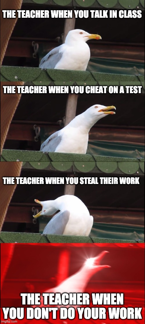 Inhaling Seagull | THE TEACHER WHEN YOU TALK IN CLASS; THE TEACHER WHEN YOU CHEAT ON A TEST; THE TEACHER WHEN YOU STEAL THEIR WORK; THE TEACHER WHEN YOU DON'T DO YOUR WORK | image tagged in memes,inhaling seagull | made w/ Imgflip meme maker