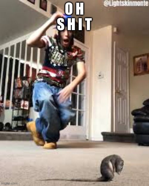 Oh shit a rat | O H
S H I T | image tagged in oh shit a rat | made w/ Imgflip meme maker