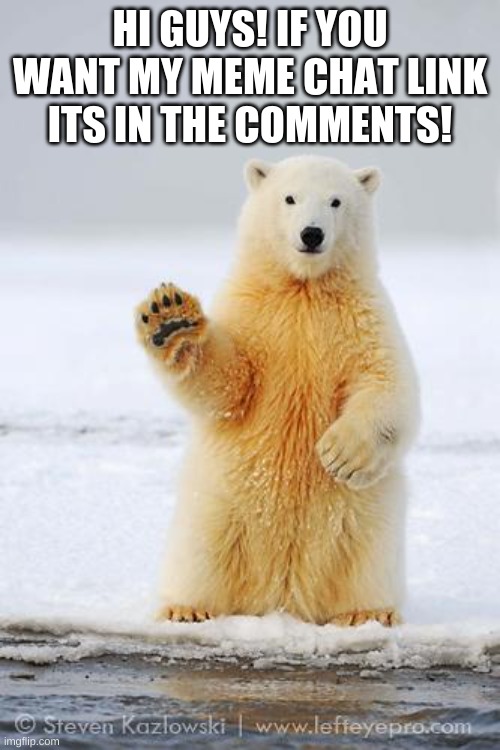hello polar bear | HI GUYS! IF YOU WANT MY MEME CHAT LINK ITS IN THE COMMENTS! | image tagged in hi | made w/ Imgflip meme maker