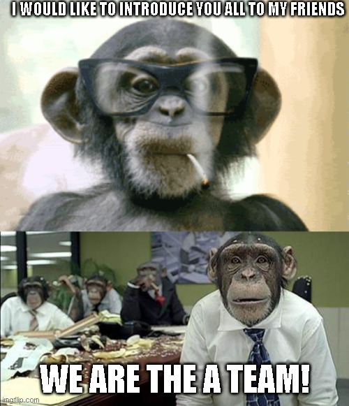 i wounder who will understand .and who will fail to grasp the meme |  I WOULD LIKE TO INTRODUCE YOU ALL TO MY FRIENDS; WE ARE THE A TEAM! | image tagged in funny,stock | made w/ Imgflip meme maker