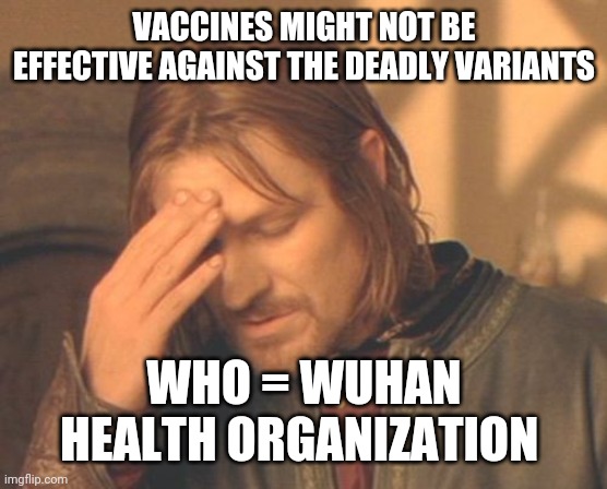 jesus christ... | VACCINES MIGHT NOT BE EFFECTIVE AGAINST THE DEADLY VARIANTS; WHO = WUHAN HEALTH ORGANIZATION | image tagged in memes,frustrated boromir,who,covid,vaccines,b117 | made w/ Imgflip meme maker