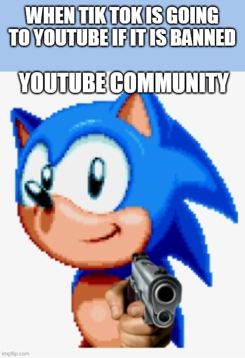 Sonic gun pointed | WHEN TIK TOK IS GOING TO YOUTUBE IF IT IS BANNED; YOUTUBE COMMUNITY | image tagged in sonic gun pointed | made w/ Imgflip meme maker