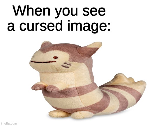 i am running out of titles | When you see a cursed image: | image tagged in furret | made w/ Imgflip meme maker