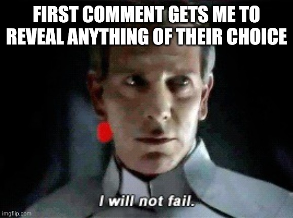 I will not fail | FIRST COMMENT GETS ME TO REVEAL ANYTHING OF THEIR CHOICE | image tagged in i will not fail | made w/ Imgflip meme maker