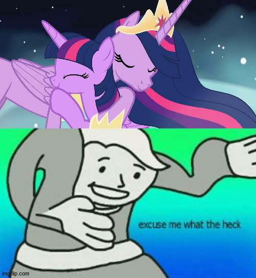 Ummm ok... Plot twist???? lol | image tagged in excuse me what the heck,mlp,twilight sparkle | made w/ Imgflip meme maker