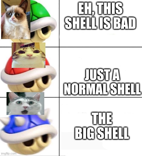 mario kart shells | EH, THIS SHELL IS BAD; JUST A NORMAL SHELL; THE BIG SHELL | image tagged in mario kart shells,cats,funny cats,shell | made w/ Imgflip meme maker