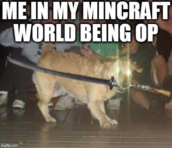 You dare oppose me mortal | ME IN MY MINCRAFT
WORLD BEING OP | image tagged in you dare oppose me mortal | made w/ Imgflip meme maker