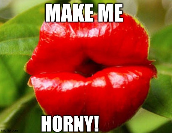 Make me horny | MAKE ME; HORNY! | made w/ Imgflip meme maker