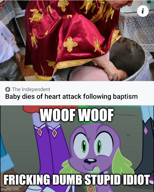 Meanwhile in Romania | WOOF WOOF; FRICKING DUMB STUPID IDIOT | image tagged in mlp equestria girls spike da fuk,memes,romania | made w/ Imgflip meme maker