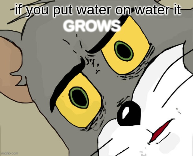 i'm not sure if this is original | if you put water on water it; GROWS | image tagged in memes,unsettled tom | made w/ Imgflip meme maker
