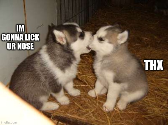 Cute Puppies |  IM GONNA LICK UR NOSE; THX | image tagged in memes,cute puppies | made w/ Imgflip meme maker