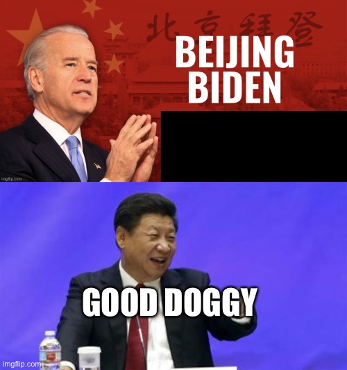 Beijing Biden | GOOD DOGGY | image tagged in beijing biden,xi jinping laughing | made w/ Imgflip meme maker