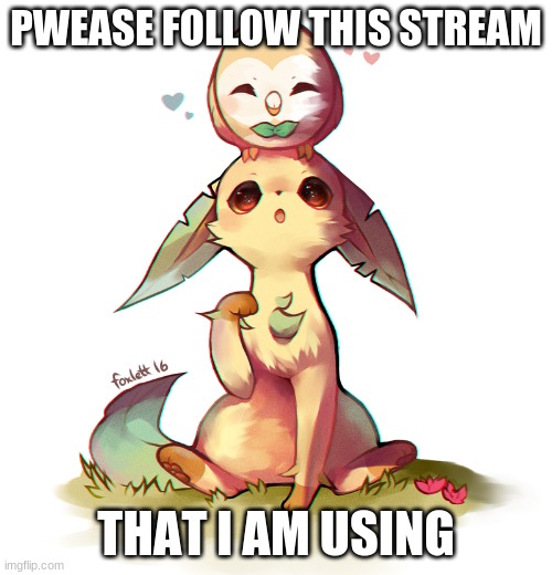 Cute leafeon and Rowlet |  PWEASE FOLLOW THIS STREAM; THAT I AM USING | image tagged in cute leafeon and rowlet | made w/ Imgflip meme maker