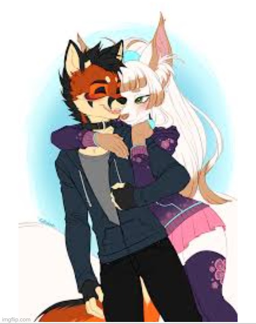 this is cute OwO | image tagged in cute,furry | made w/ Imgflip meme maker