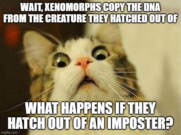 Comment what you think it looks like | WAIT, XENOMORPHS COPY THE DNA FROM THE CREATURE THEY HATCHED OUT OF; WHAT HAPPENS IF THEY HATCH OUT OF AN IMPOSTER? | image tagged in memes,scared cat,alien,xenomorph | made w/ Imgflip meme maker