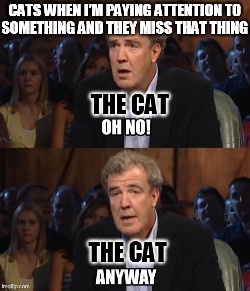 Oh no! Anyway | CATS WHEN I'M PAYING ATTENTION TO
SOMETHING AND THEY MISS THAT THING; THE CAT; THE CAT | image tagged in oh no anyway,cats,funny,funny memes,lolcats,funny cat | made w/ Imgflip meme maker